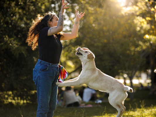 Tips for a jumpy dog