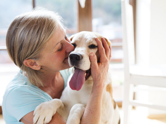 Teaching Your Dog Basic House Manners