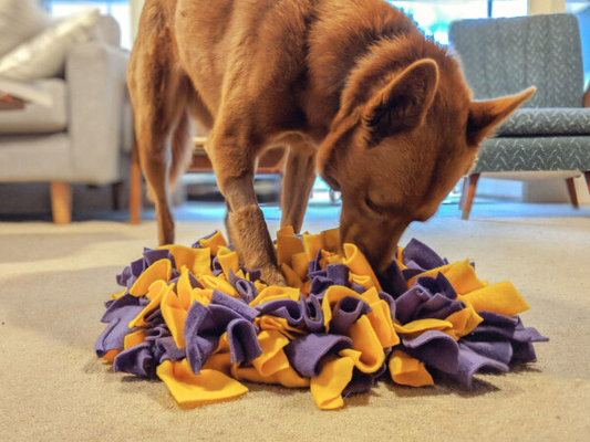 5 DIY Snuffle Mat Ideas to Keep Your Pup Engaged