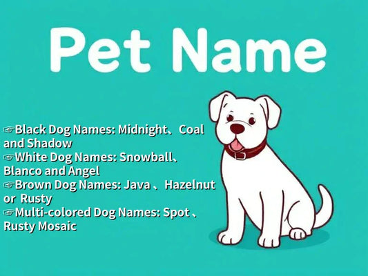 pet name meaning