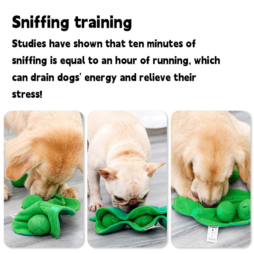 Dog engaging in sniffing training with PuppHub Pea Pod Dog Toy for stress relief.