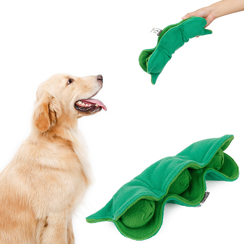 Golden retriever gazing at PuppHub Pea Pod Dog Toy held in hand with three green peas.