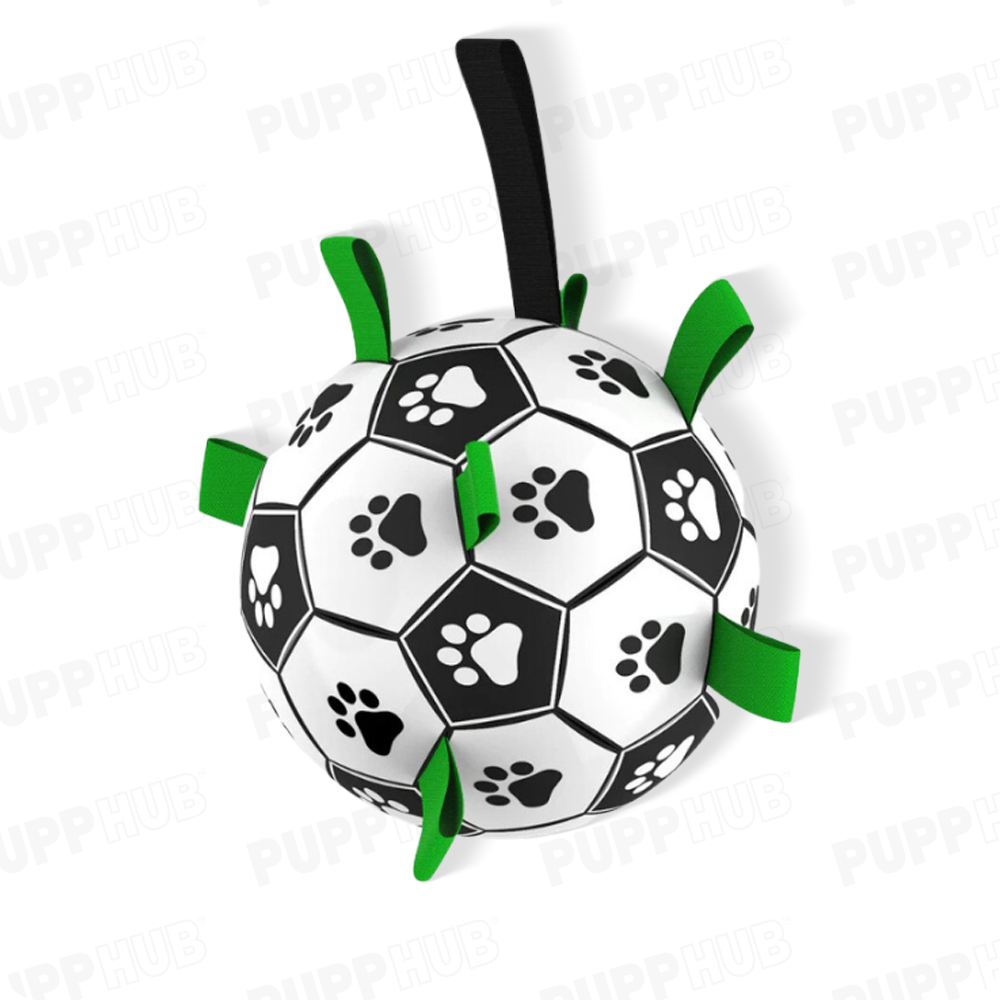 Interactive dog soccer ball with paws and straps for active play