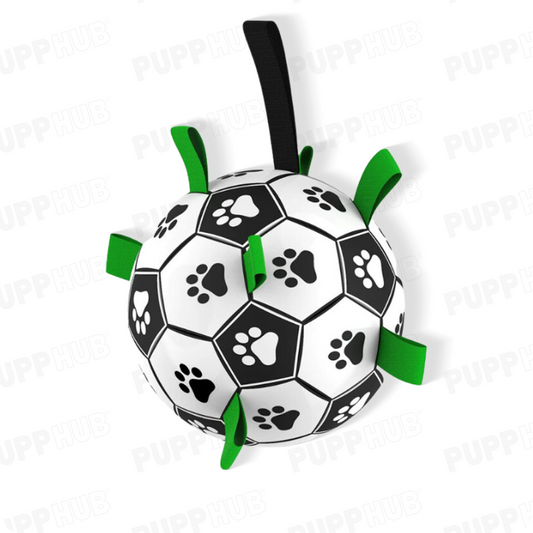 Dog splashing in water with interactive soccer ball, promoting active play.