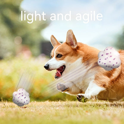 Corgi playing outdoors with Catch-A-Cloud dental toy, showcasing dental health and fun.