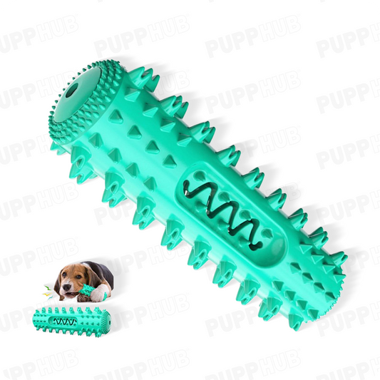 Mighty Molar Maestro dental stick for dogs in vibrant green