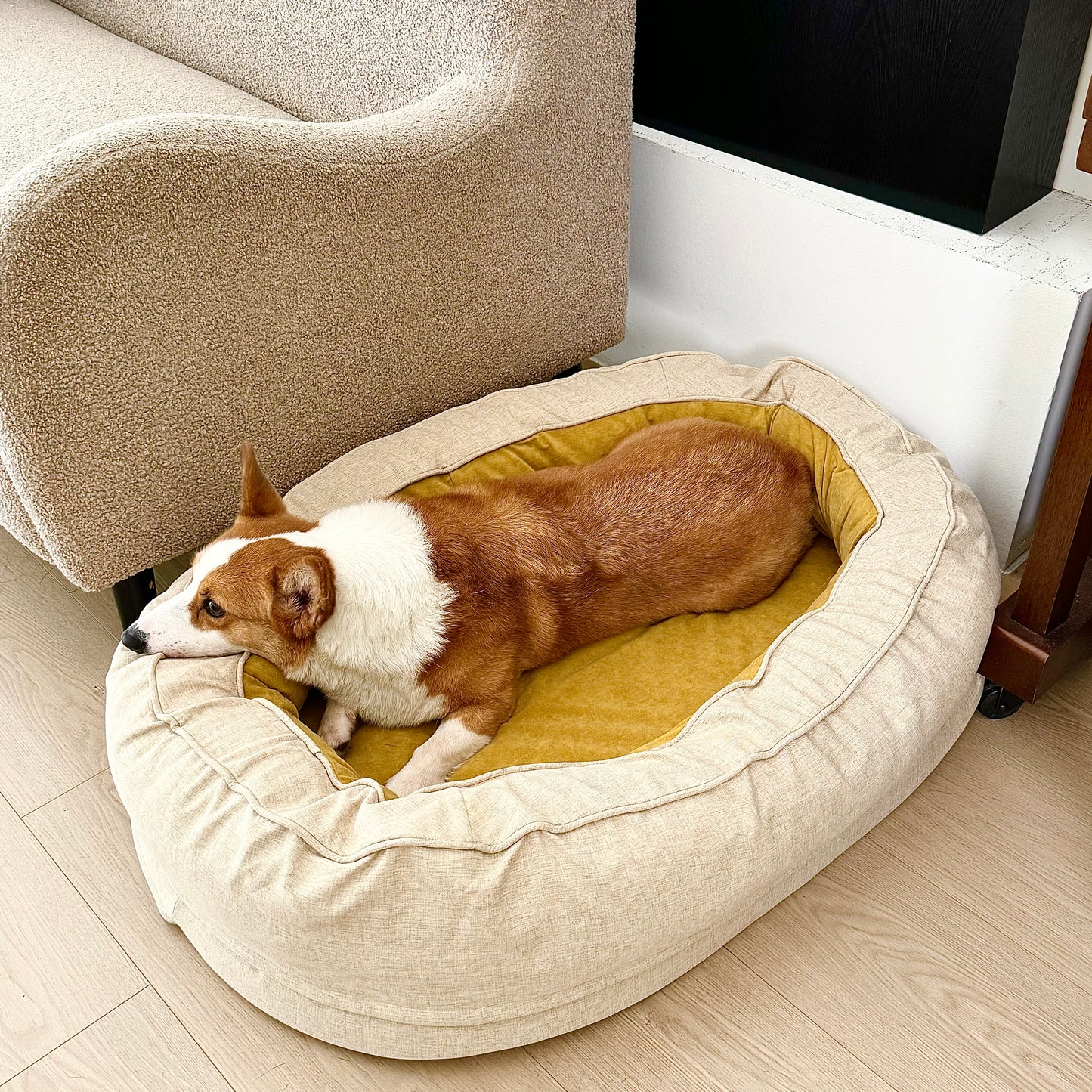 Cozy Washable Large Dog Bed-- Dreamland Oasis