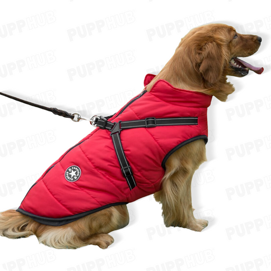 Pink winter dog jacket with built-in harness and zipper