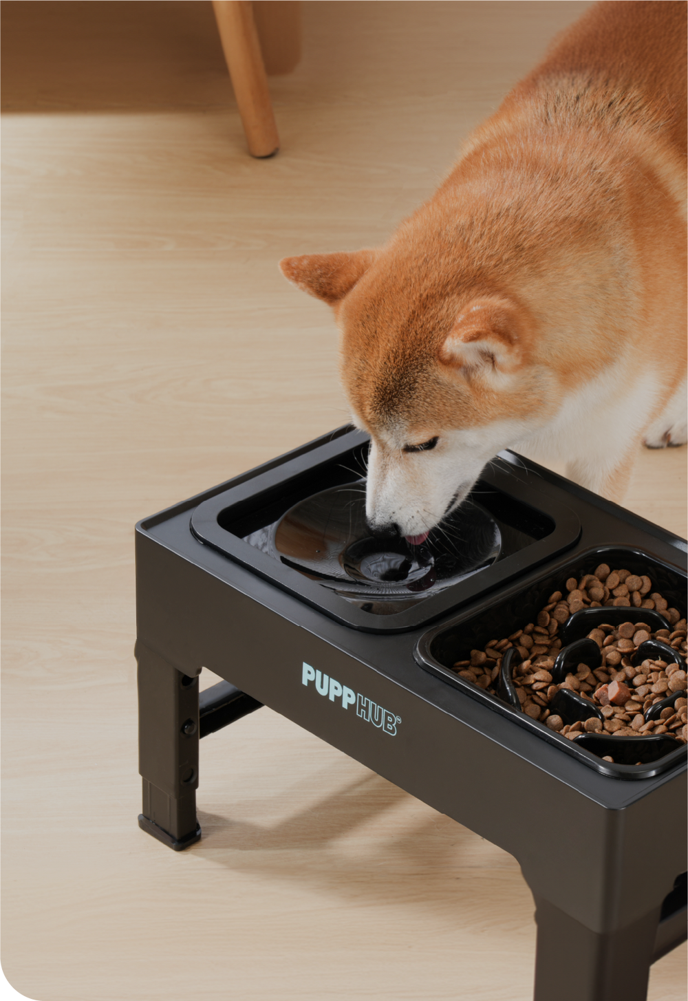 PuppHub™ | Stainless Dog Bowls