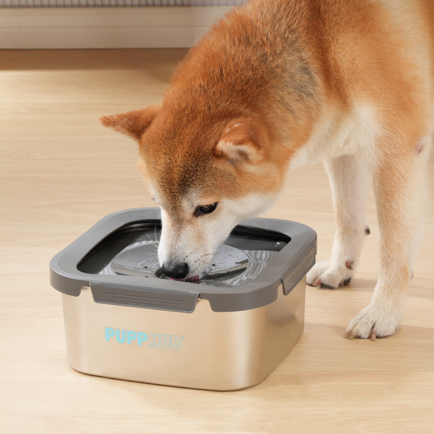 Dog drinking from Zero Splash stainless steel bowl, featuring a floating disk design.