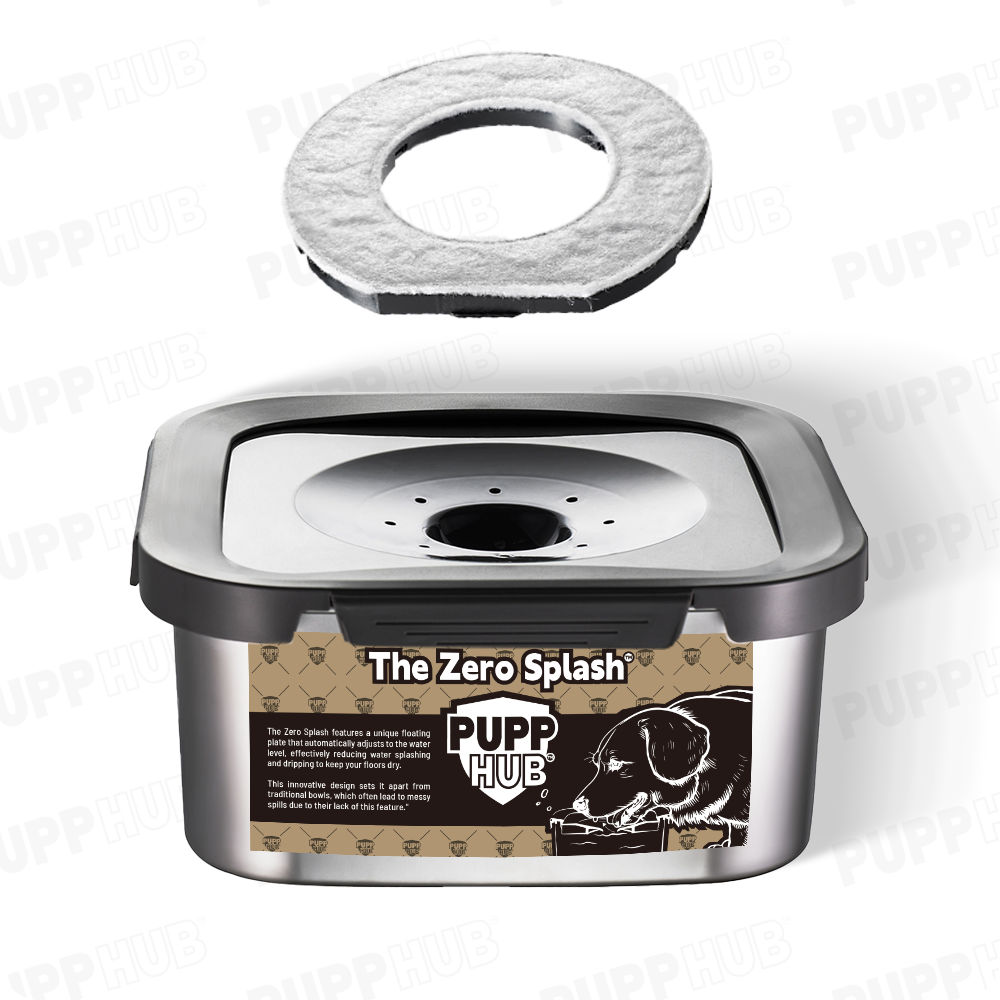 Zero Splash stainless steel dog bowl with removable floating disk and filter