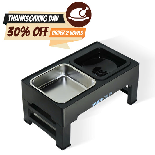 【2 of 30% OFF】The Zero Splash Ultimate-Adjustable Elevated Dog Bowl 2-in-1 Food Water Bowls