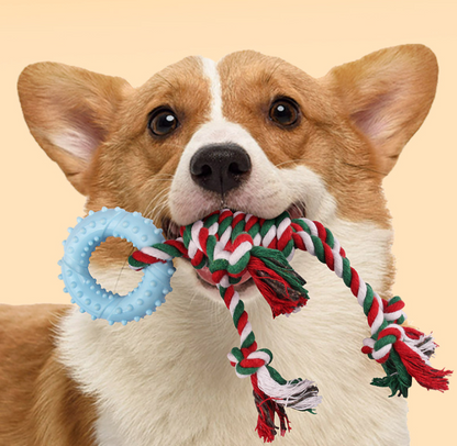 Christmas-Themed Dog & Cat Chew Toy