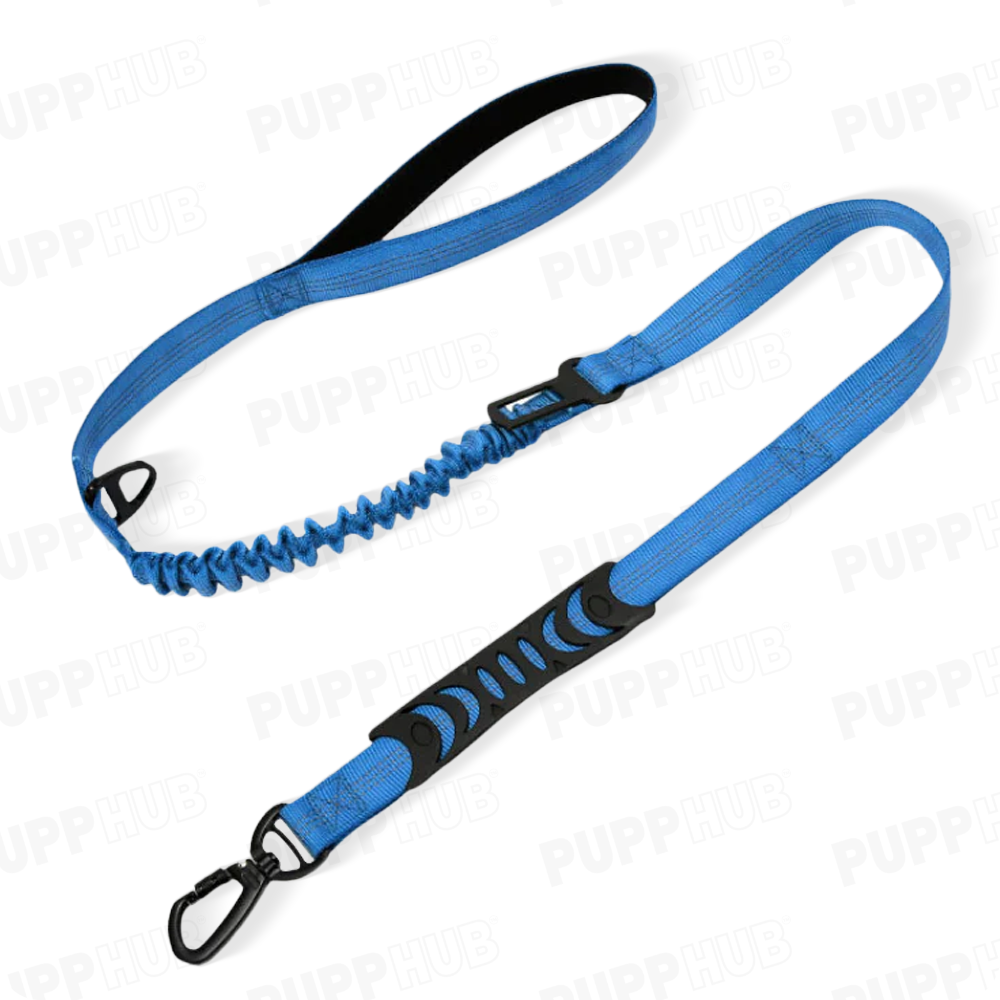 PuppHub Signature Leash with reflective threads showcased at night for safety.