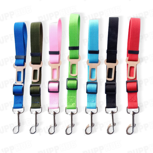 Variety of colorful adjustable travel safety leashes for pets