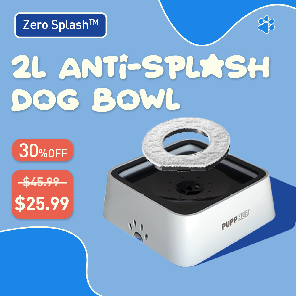 Zero Splash™ No-Spill Dog Bowl –  Prevent Coughing After Drinking