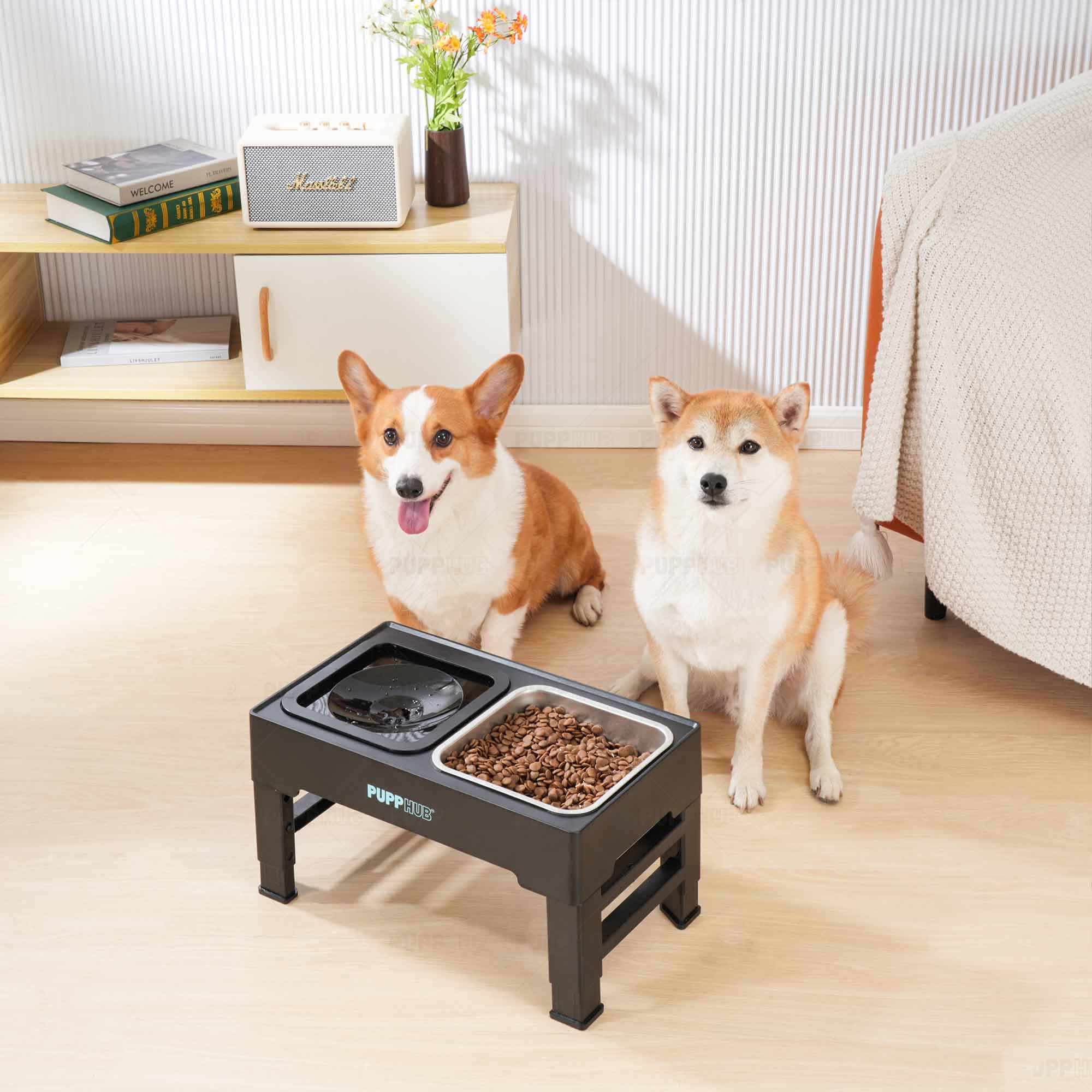 Cool dog food bowls best sale