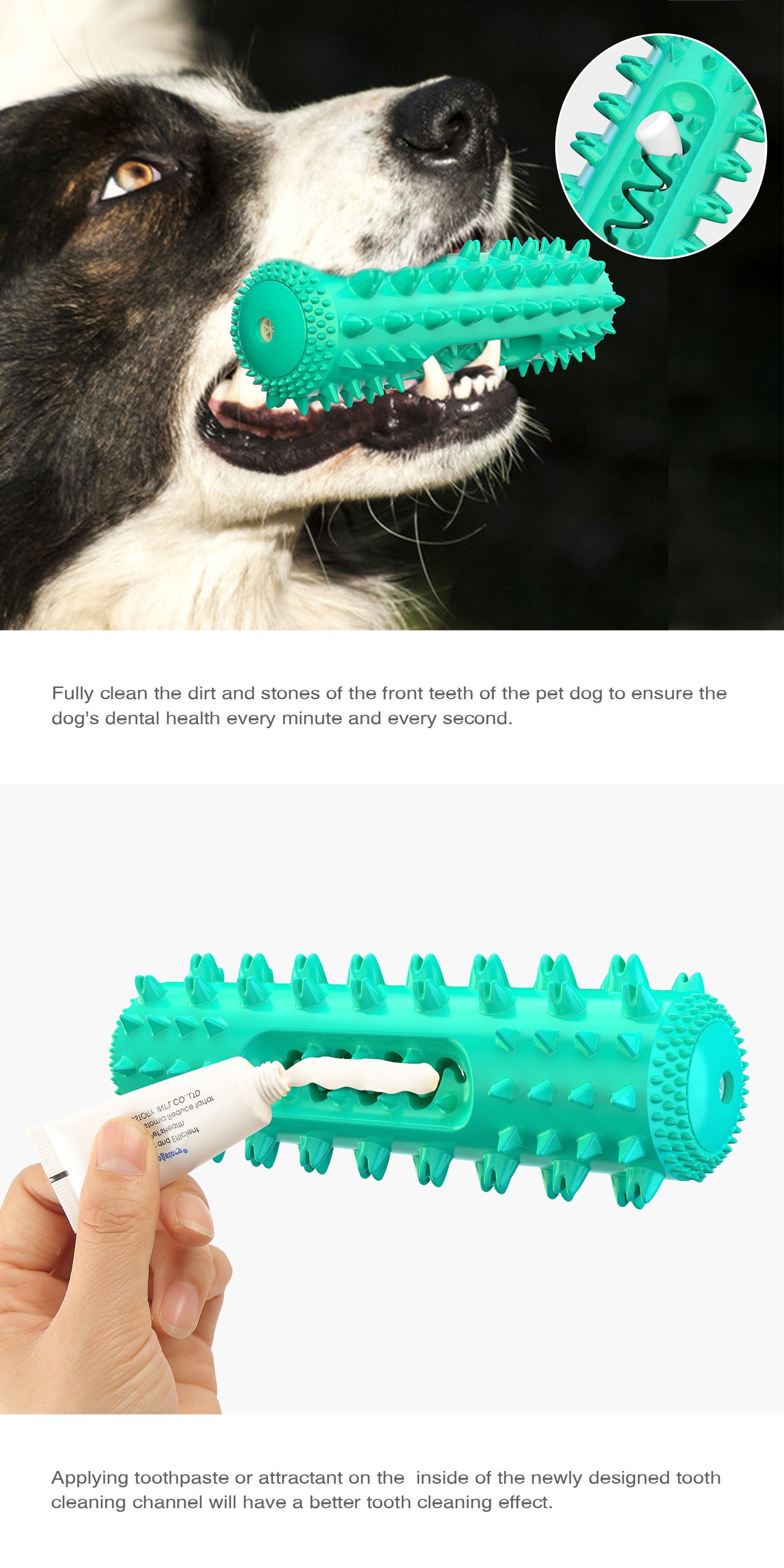 Dog chewing a green dental stick with textured spikes for better dental health