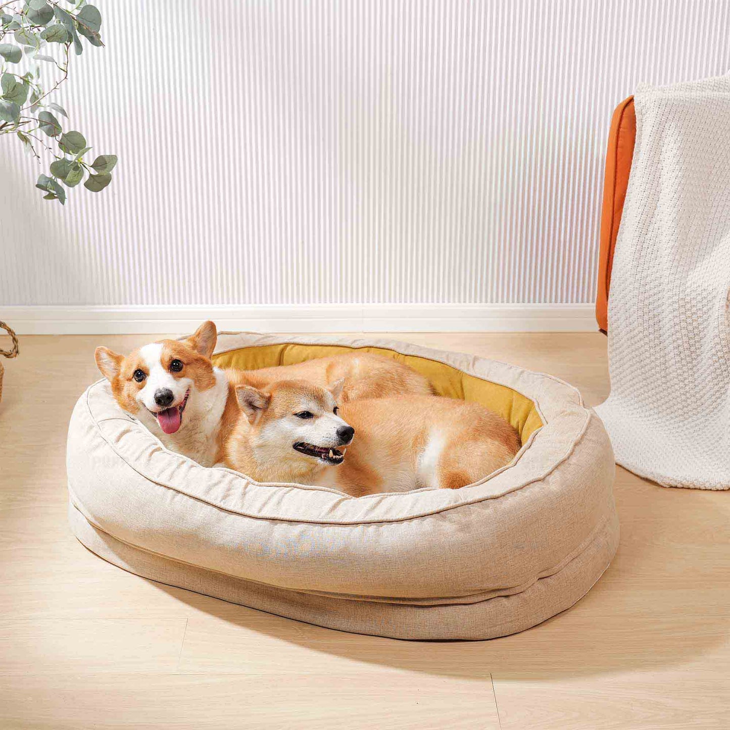 Corgi and Shiba Inu relaxing together in a cozy beige oval dog bed with yellow interior