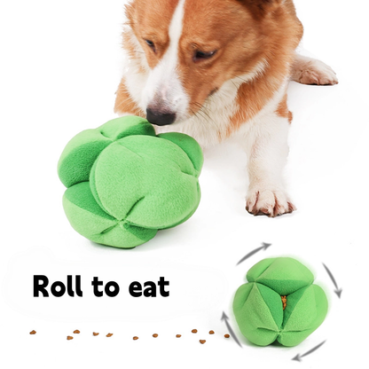 Corgi dog playing with green broccoli treat toy, engaging with cheerful design