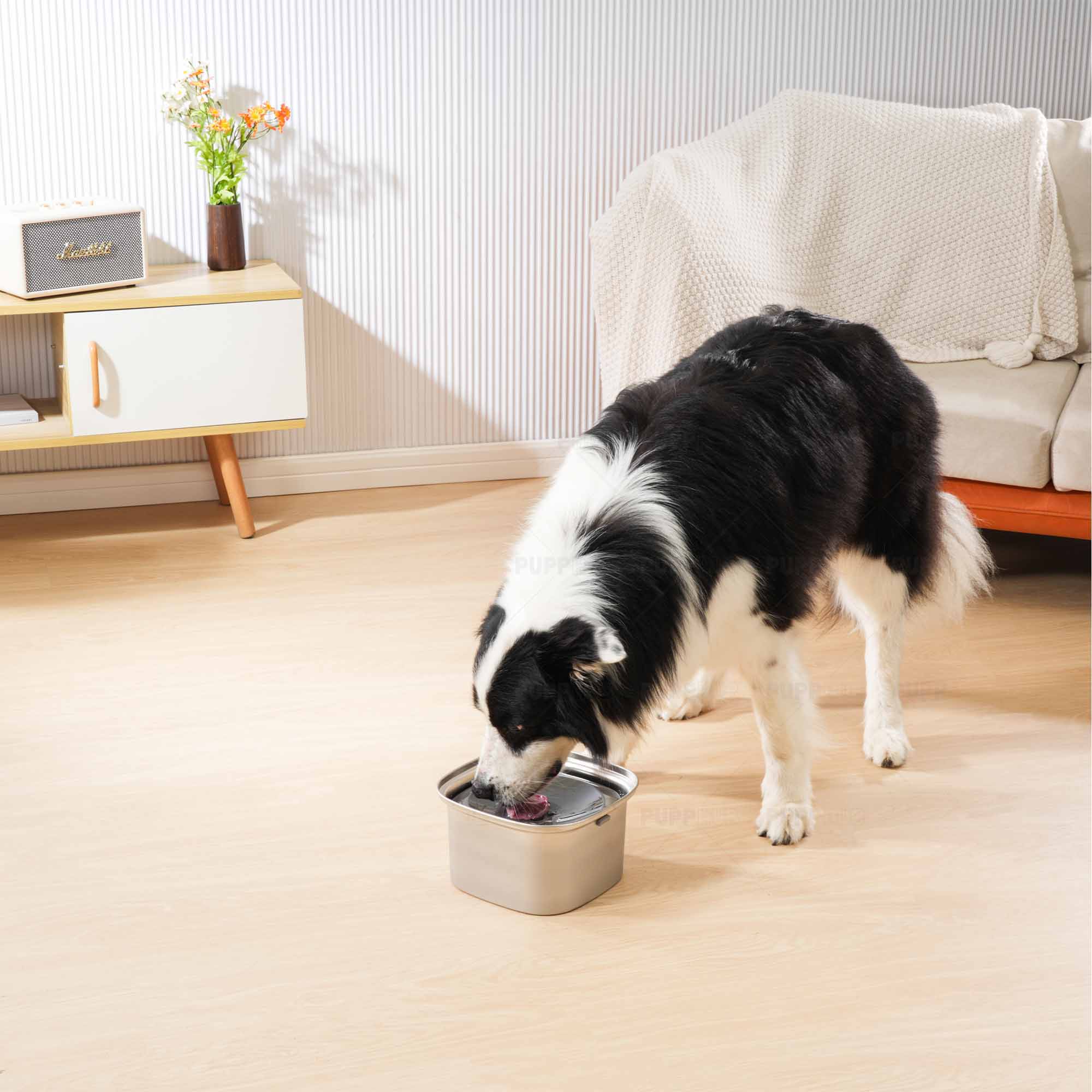 Floater bowl for dogs best sale