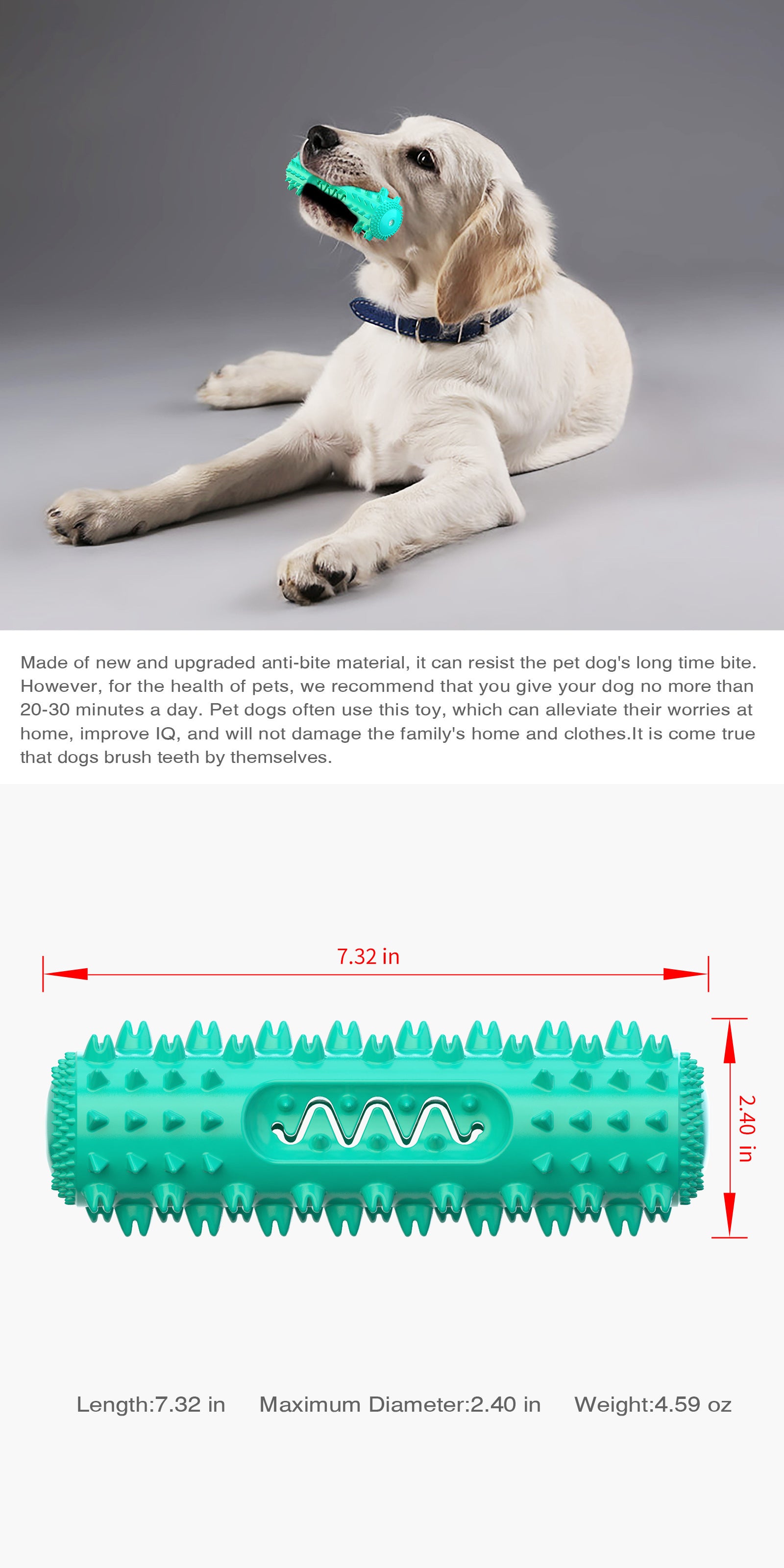 Golden retriever playing with Mighty Molar Maestro dental stick for healthy teeth.