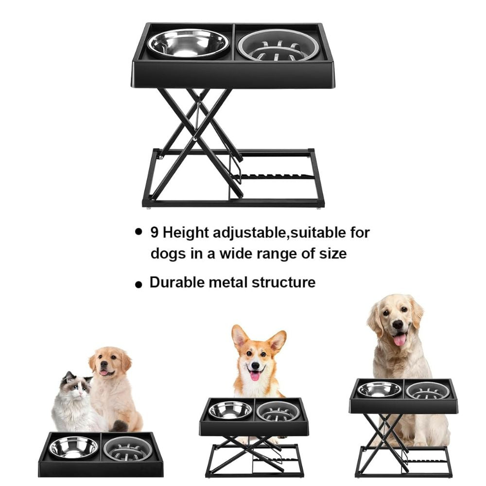 Elevated Double Dog Bowl 3rd-Generation