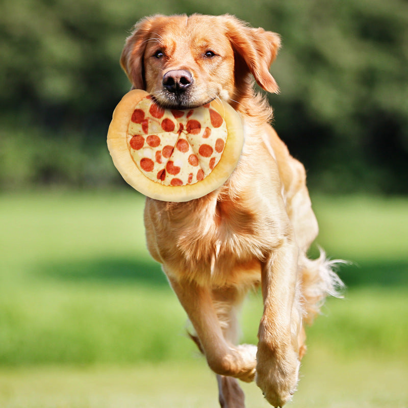 Interactive Toy Frisbee Pizza