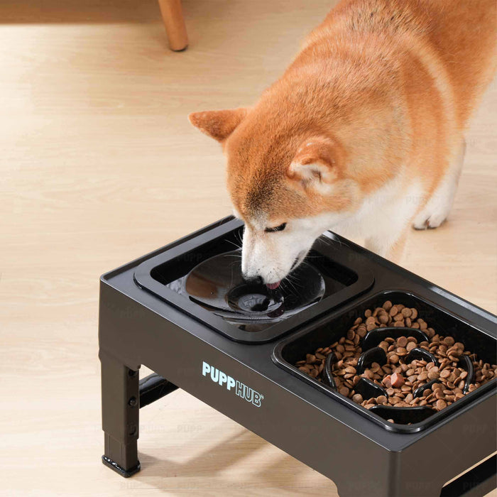 dog water bowl spill proof