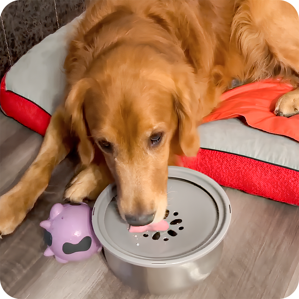 Spill proof Water Bowl for Large Dogs Spill Proof Stainless Steel Dog Bowls PuppHub