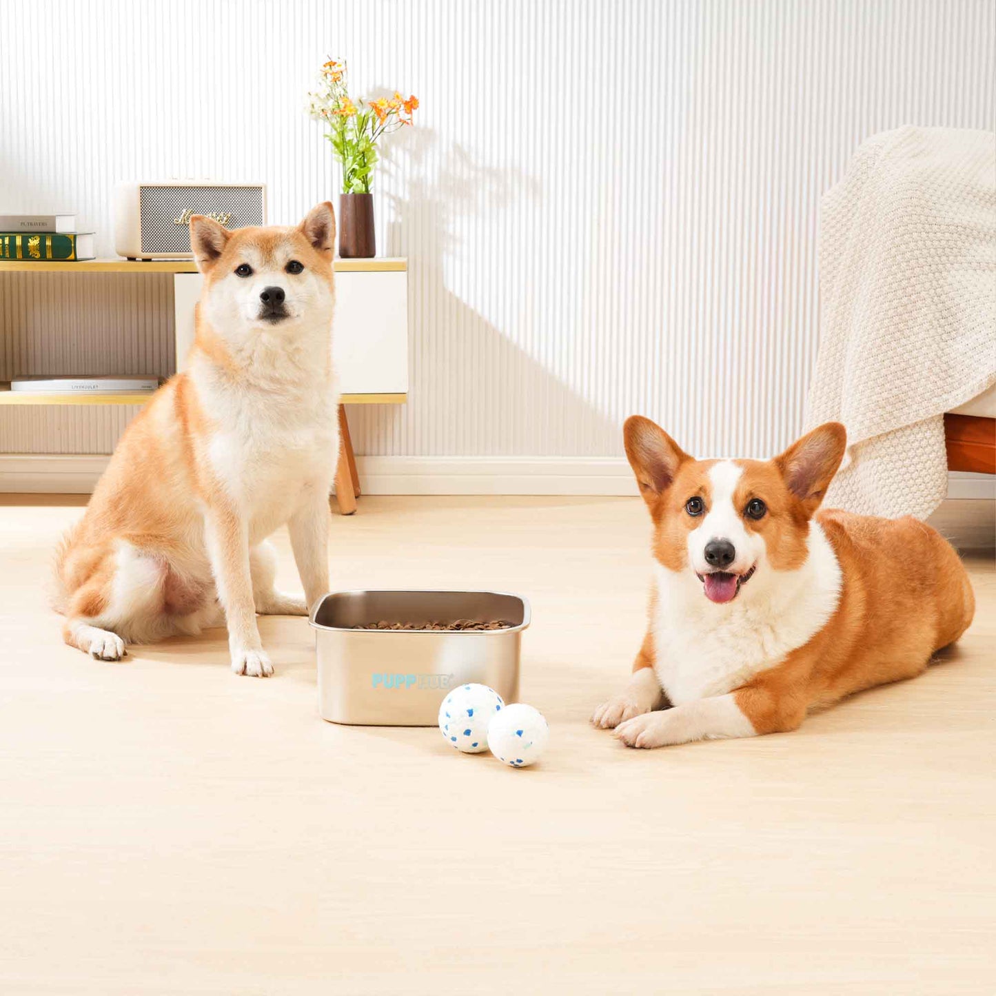 2 large dogs and stainless steel dog bowls