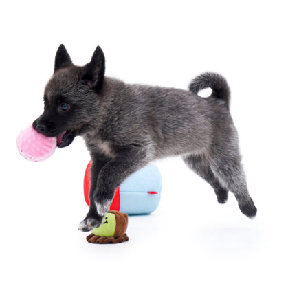 Interactive Plush Squeaky Toy Ice Cream Bucket