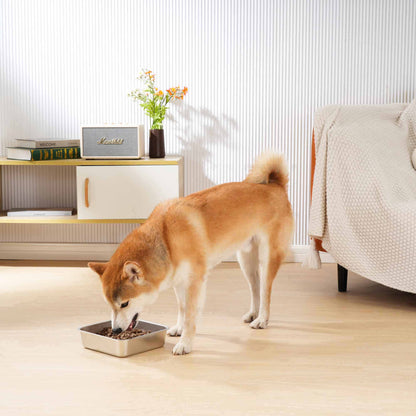 Shiba Inu dog eating from elevated Zero Splash Ultimate™ pet bowl in living room.