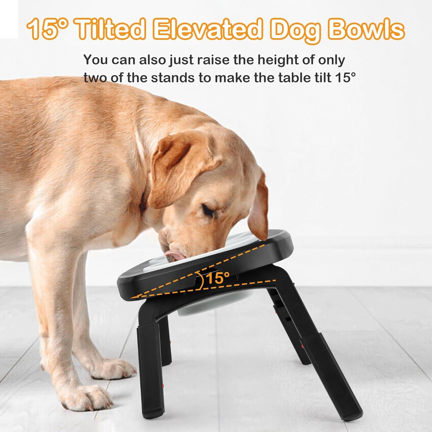 Foldable Double Dog Bowl for Travel & Outdoor