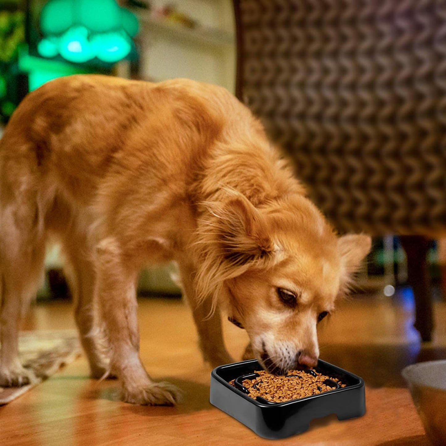 Black Slow Feeder Square Dog Bowls