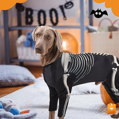 Pet Halloween Clothes Skeleton Dog