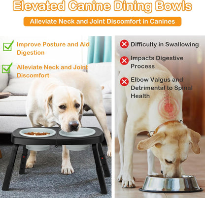 Foldable Double Dog Bowl for Travel & Outdoor