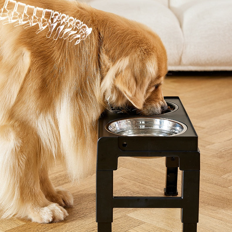 Elevated Bowl Upgrade Double Dog Bowl For Small and Medium Dogs