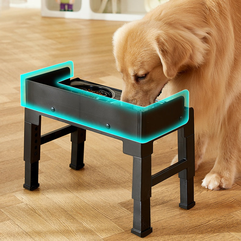 Elevated Bowl Upgrade Double Dog Bowl For Small and Medium Dogs