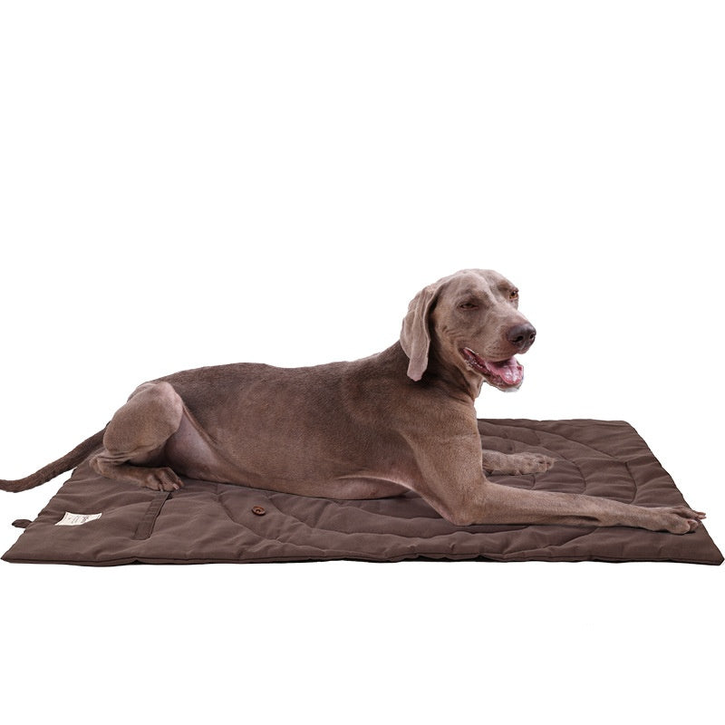 Person walking golden retriever with a folded waterproof dog mat in hand.