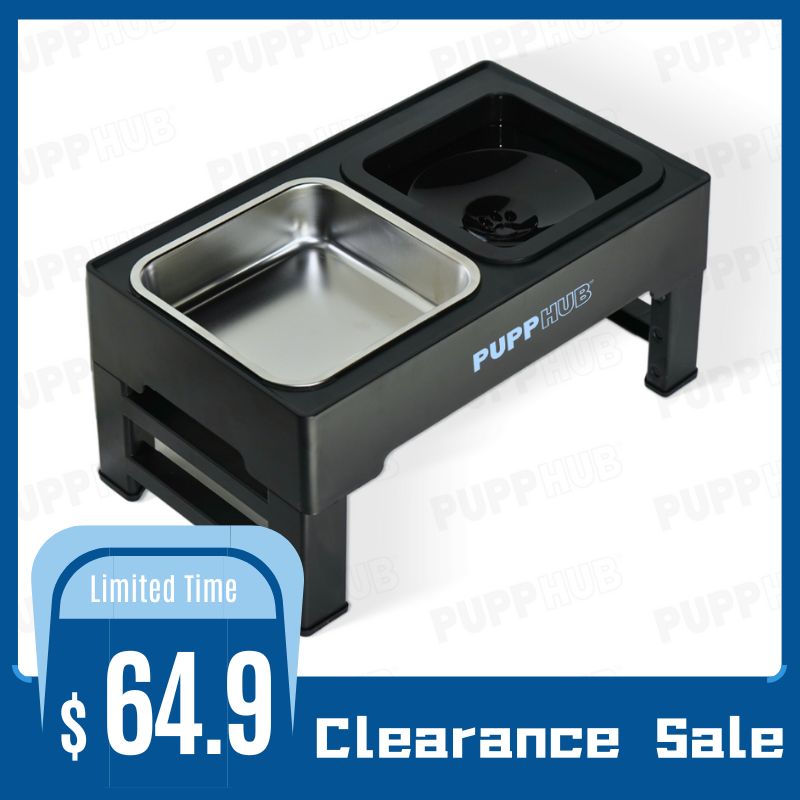 The 2-in-1 Zero Splash™ Adjustable Elevated Dog Bowl