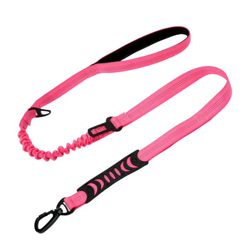 Pink leash