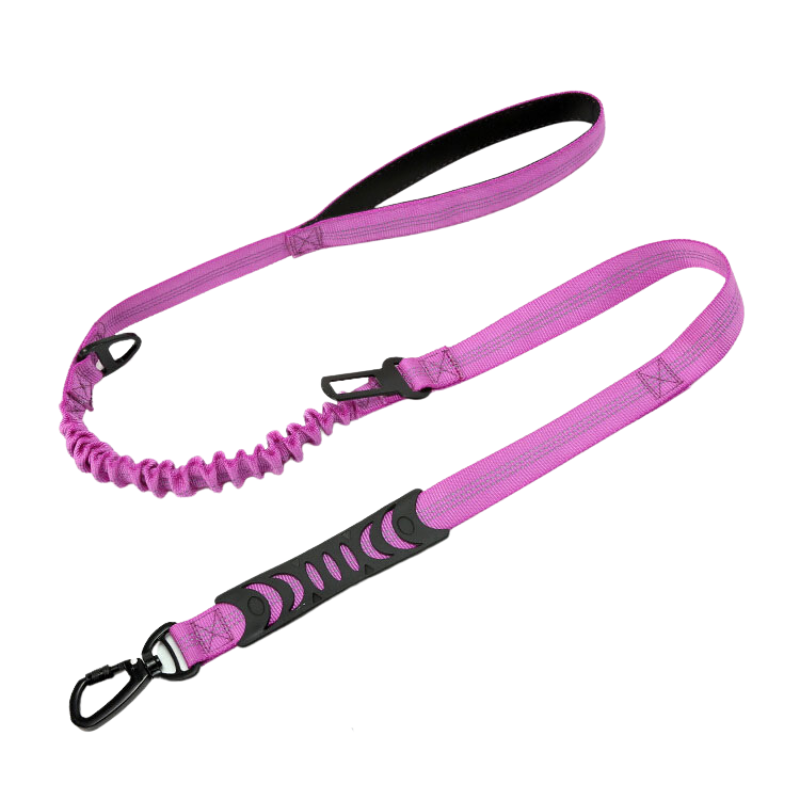 Purple leash