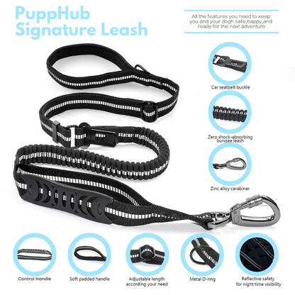 Dog leash details