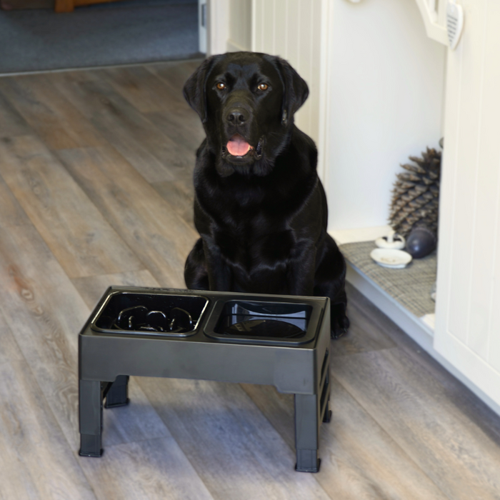 Wood Waterfall Dog Feeder