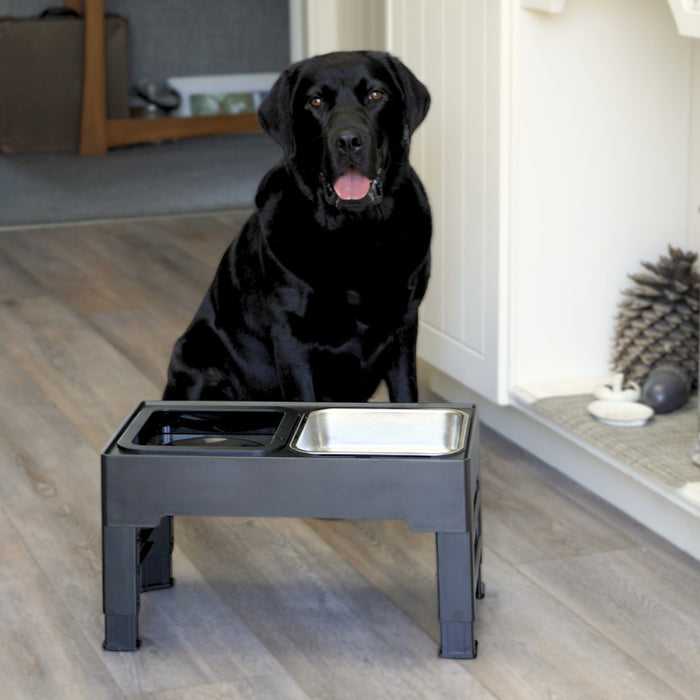 Zero Splash Dog Water Bowl – Perfect Paw Store